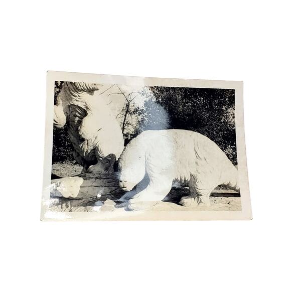 Vtg Sloths in Park of Tar Pits B&W Monochrome Photo 1940s Found Snapshot - Picture 1 of 4
